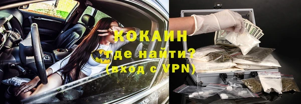 дурь Арсеньев
