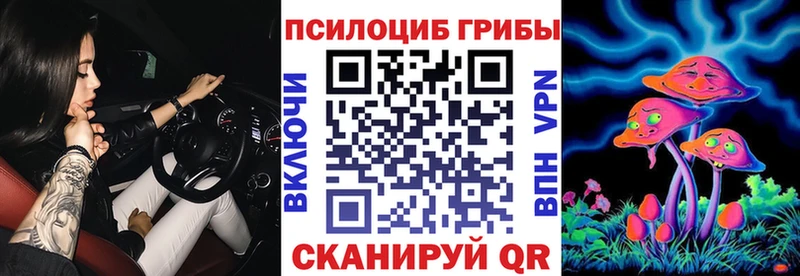 Псилоцибиновые грибы Cubensis  Георгиевск 