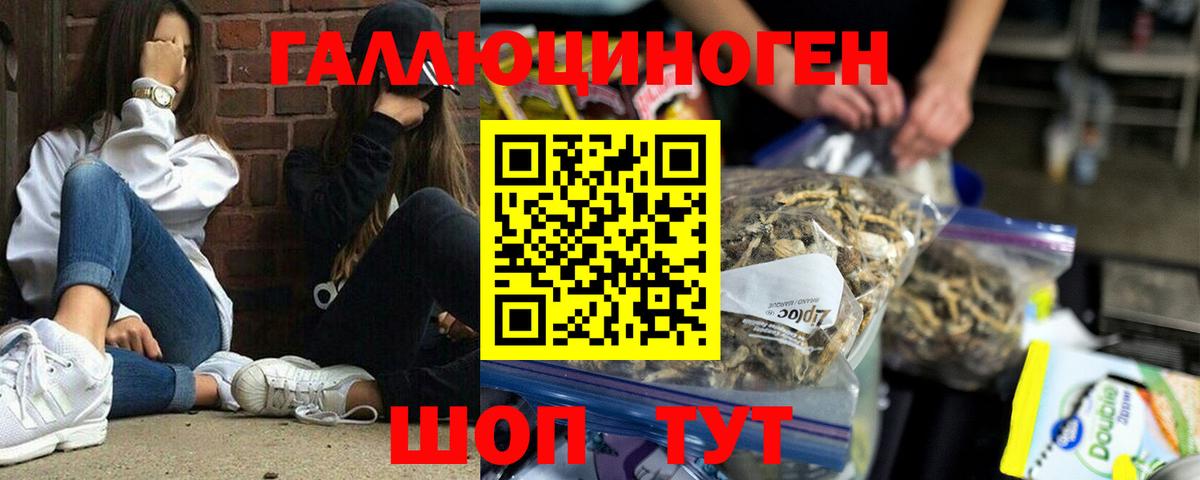 Галлюциногенные грибы прущие грибы  Вход с VPN  Георгиевск  Псилоцибиновые грибы прущие грибы 