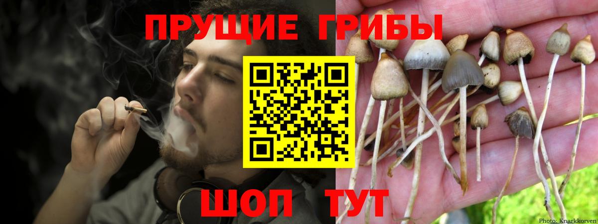 Галлюциногенные грибы прущие грибы Георгиевск